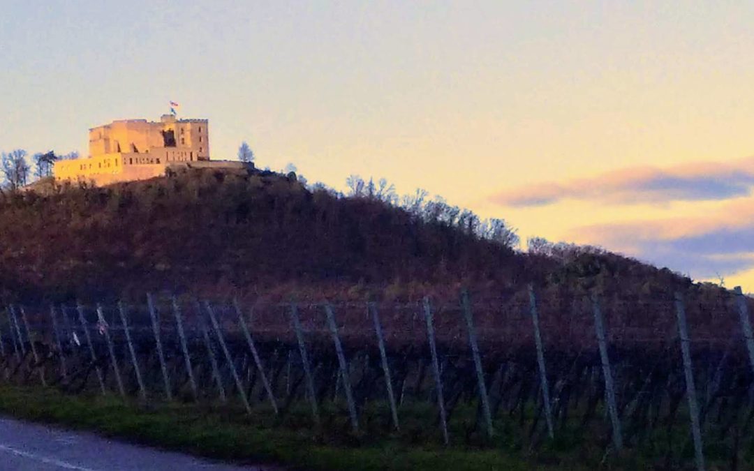 Wein und Wald um Maikammer