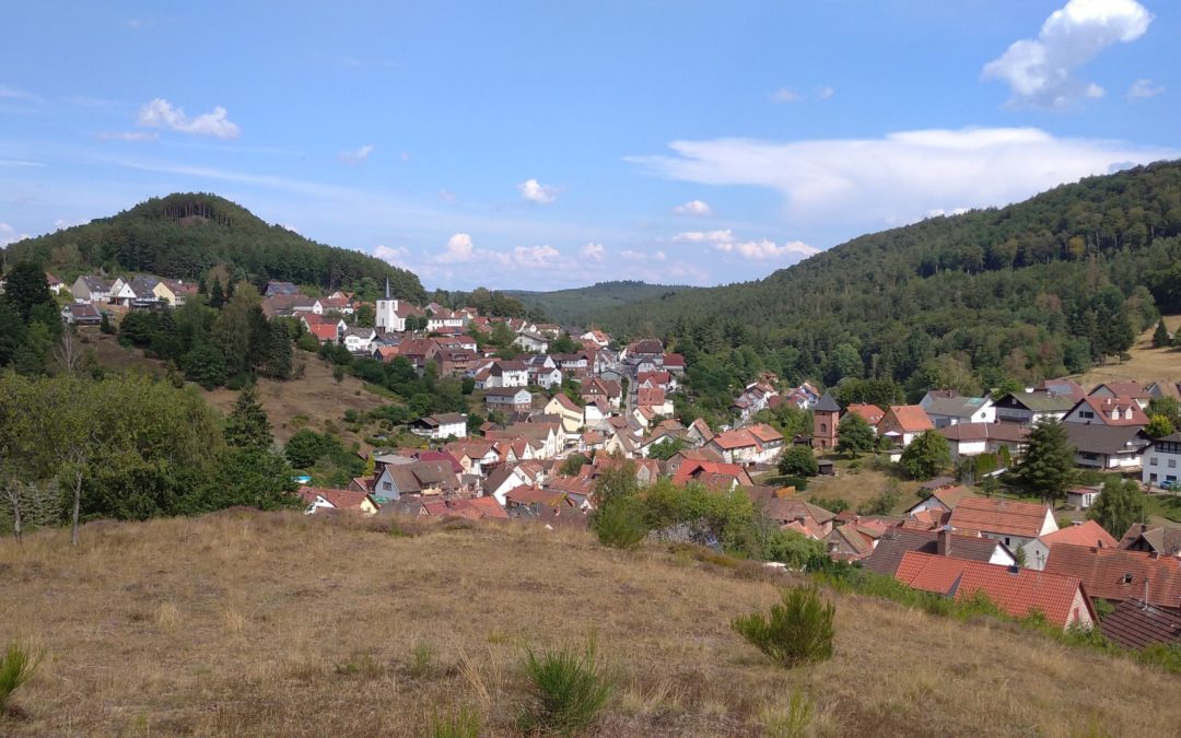 Wanderung im Iggelbacher Wald