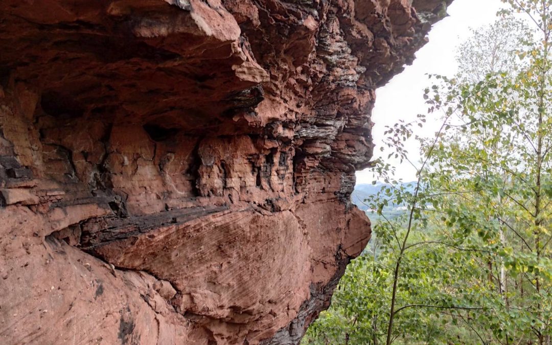 Wanderung zum Rehberg und zur Madenburg